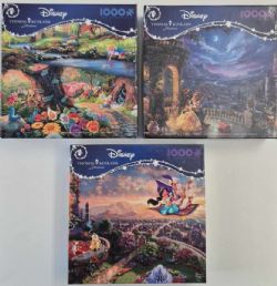 CEACO CASSE-TÊTE 750 OU 1000 PIÈCES TOMAS KINKADE DISNEY ASST.